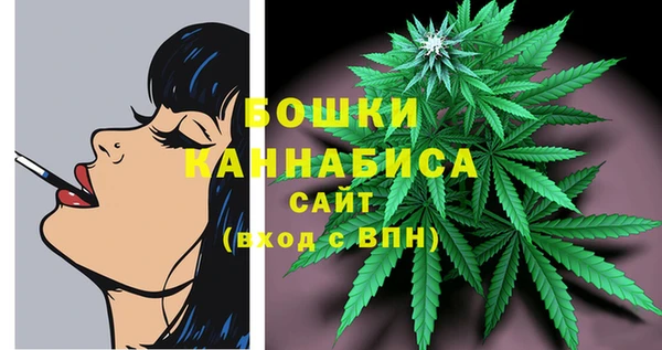 дживик Белоозёрский