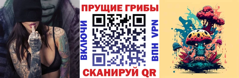 купить закладку  Городец  Галлюциногенные грибы ЛСД 
