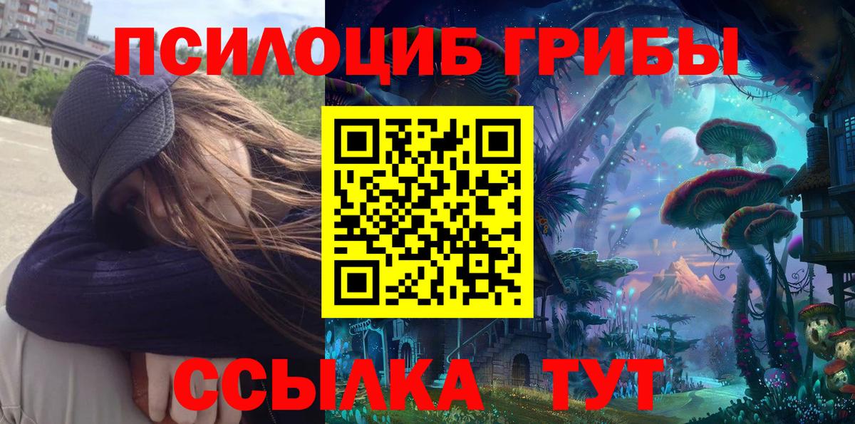 Псилоцибиновые грибы Cubensis Городец